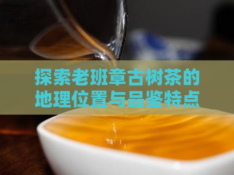 探索老班章古树茶的地理位置与品鉴特点
