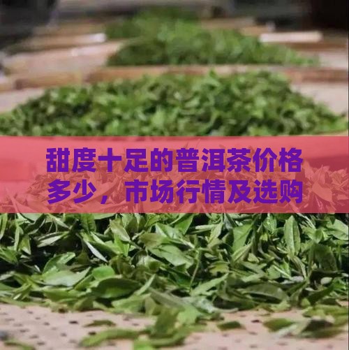 甜度十足的普洱茶价格多少，市场行情及选购