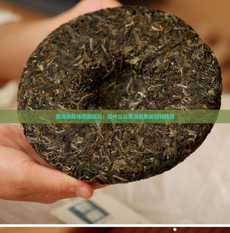 普洱茶陈味原因探究：是什么让普洱茶散发独特陈香
