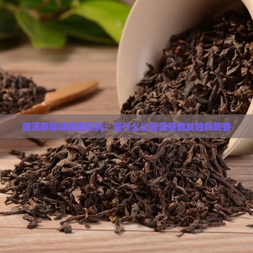 普洱茶陈味原因探究：是什么让普洱茶散发独特陈香
