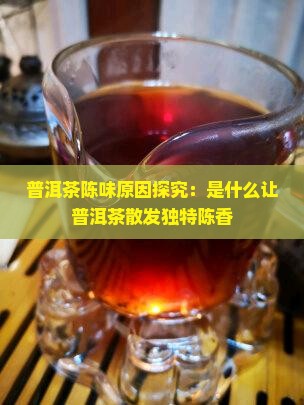 普洱茶陈味原因探究：是什么让普洱茶散发独特陈香