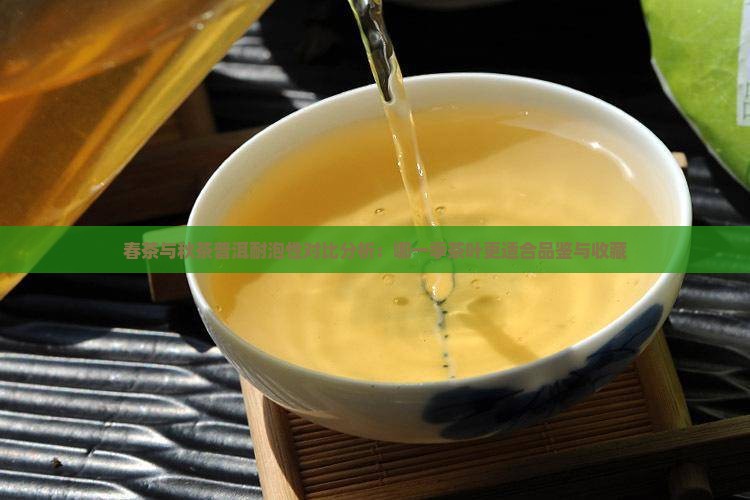 春茶与秋茶普洱耐泡性对比分析：哪一季茶叶更适合品鉴与收藏