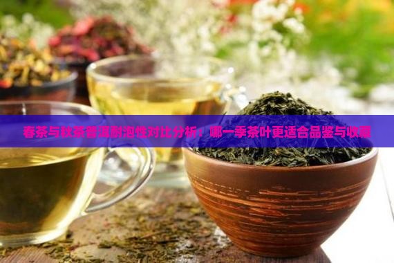 春茶与秋茶普洱耐泡性对比分析：哪一季茶叶更适合品鉴与收藏
