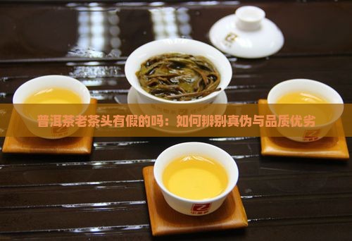 普洱茶老茶头有假的吗：如何辨别真伪与品质优劣