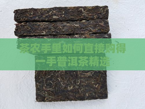 茶农手里如何直接购得一手普洱茶精选