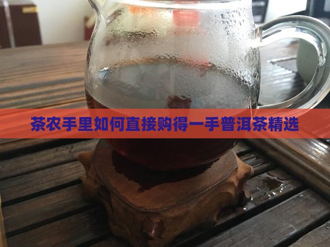 茶农手里如何直接购得一手普洱茶精选