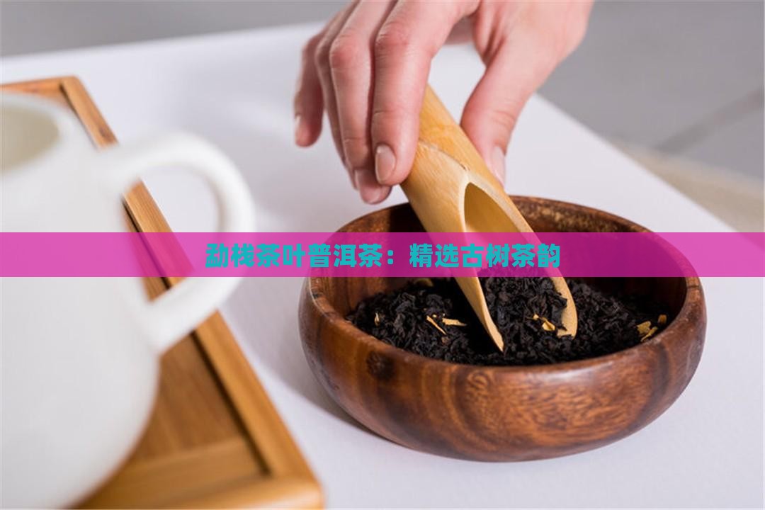勐栈茶叶普洱茶：精选古树茶韵