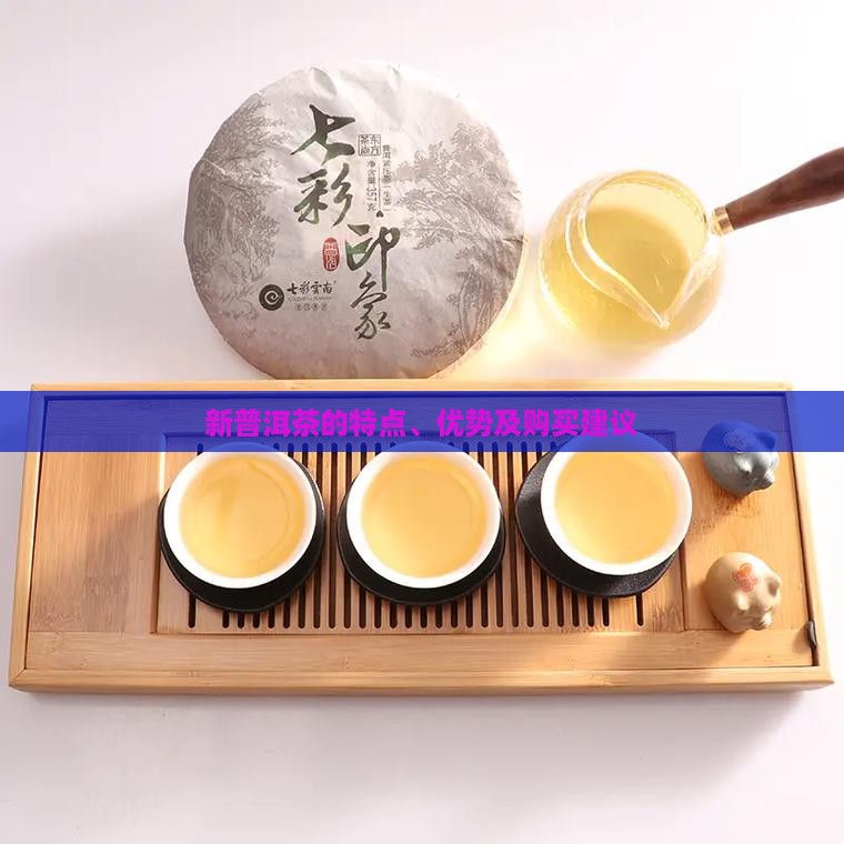 新普洱茶的特点、优势及购买建议