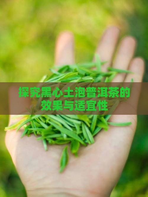 探究黑心土泡普洱茶的效果与适宜性