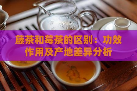 藤茶和莓茶的区别：功效作用及产地差异分析