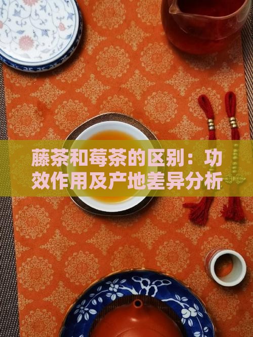藤茶和莓茶的区别：功效作用及产地差异分析
