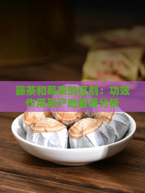 藤茶和莓茶的区别：功效作用及产地差异分析