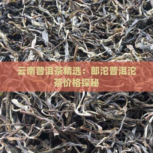 云南普洱茶精选：郎沱普洱沱茶价格探秘