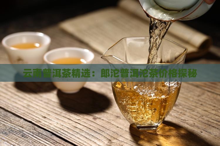 云南普洱茶精选：郎沱普洱沱茶价格探秘