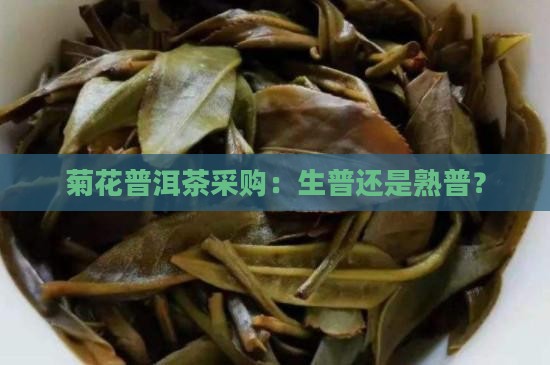 菊花普洱茶采购：生普还是熟普？