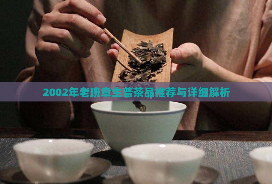 2002年老班章生普茶品推荐与详细解析