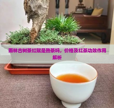 雨林古树茶红赋是熟茶吗，价格及红茶功效作用解析