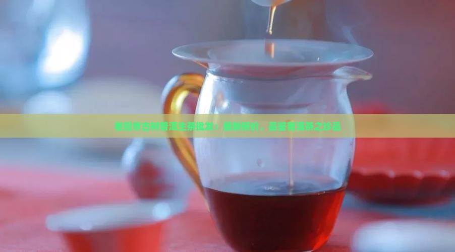 老班章古树普洱生茶批发：最新报价，品鉴普洱茶之珍品