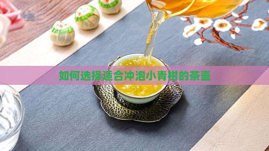 如何选择适合冲泡小青柑的茶壶