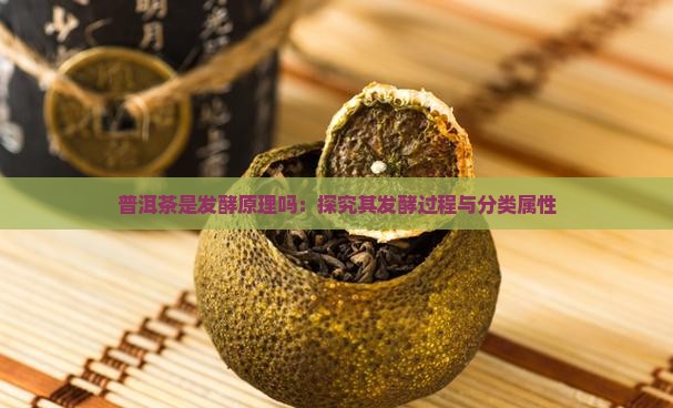 普洱茶是发酵原理吗：探究其发酵过程与分类属性