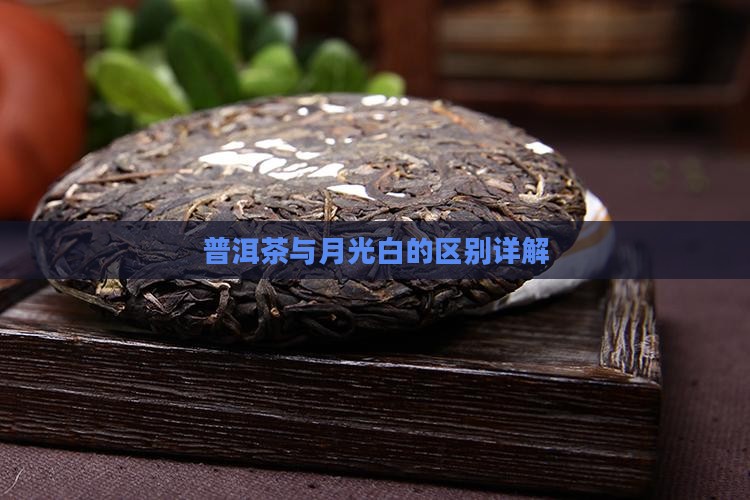 普洱茶与月光白的区别详解