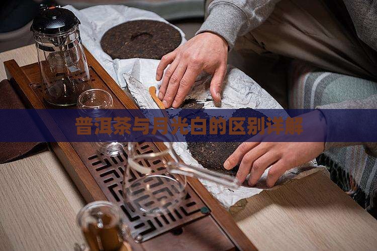 普洱茶与月光白的区别详解