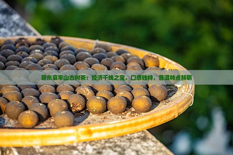 景东哀牢山古树茶：经济干线之宝，口感独特，普洱特点鲜明