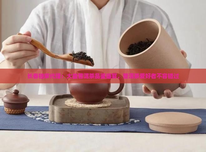 长春独家代理：大益普洱茶品鉴盛宴，普洱茶爱好者不容错过