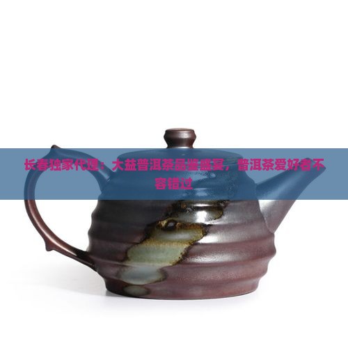 长春独家代理：大益普洱茶品鉴盛宴，普洱茶爱好者不容错过