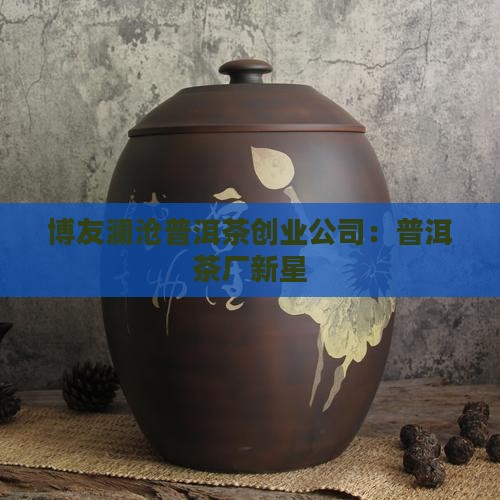 博友澜沧普洱茶创业公司：普洱茶厂新星