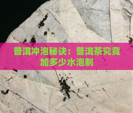 普洱冲泡秘诀：普洱茶究竟加多少水泡制