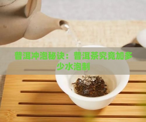 普洱冲泡秘诀：普洱茶究竟加多少水泡制