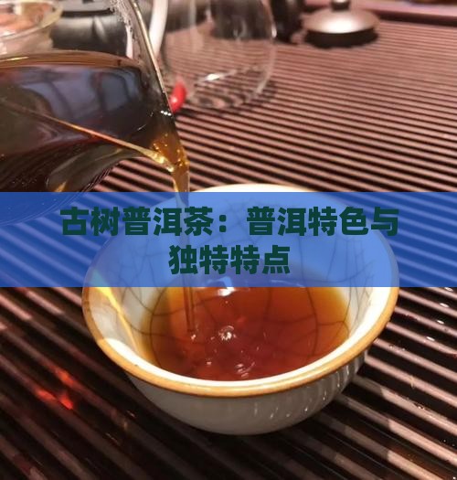 古树普洱茶：普洱特色与独特特点