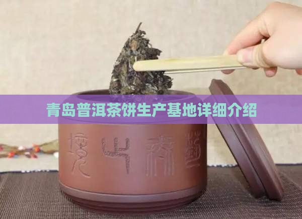 青岛普洱茶饼生产基地详细介绍