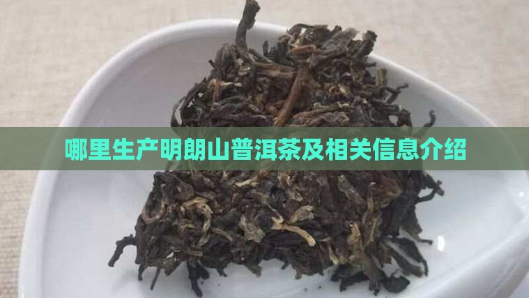 哪里生产明朗山普洱茶及相关信息介绍