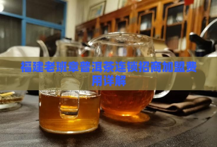 福建老班章普洱茶连锁招商加盟费用详解