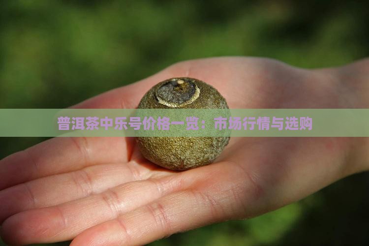 普洱茶中乐号价格一览：市场行情与选购