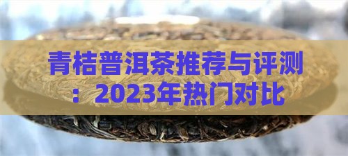 青桔普洱茶推荐与评测：2023年热门对比