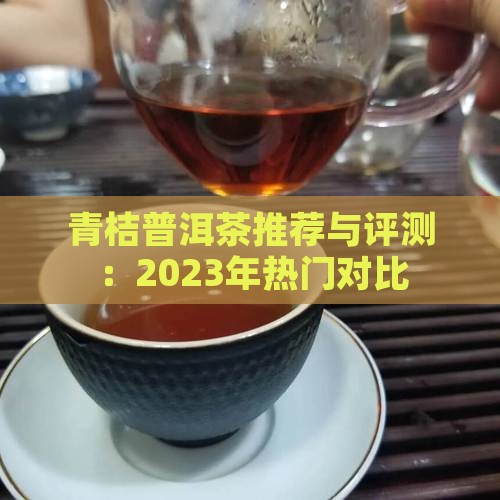 青桔普洱茶推荐与评测：2023年热门对比