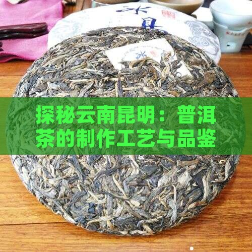 探秘云南昆明：普洱茶的制作工艺与品鉴精髓