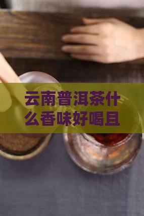 云南普洱茶什么香味好喝且香气浓郁味道佳