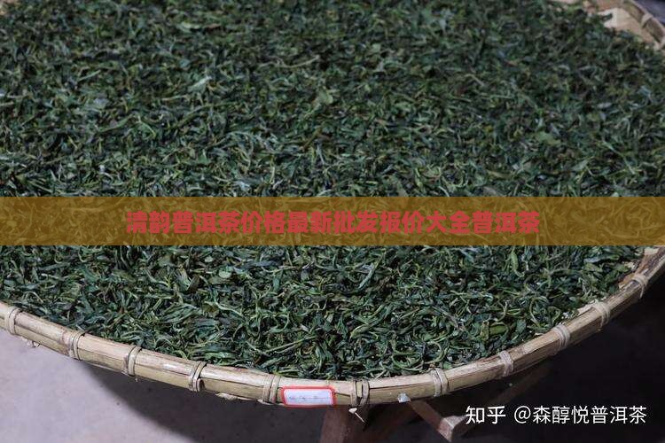 清韵普洱茶价格最新批发报价大全普洱茶