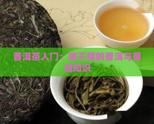 普洱茶入门：喝不懂的普洱与普洱知识