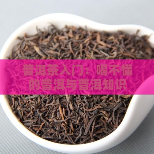 普洱茶入门：喝不懂的普洱与普洱知识