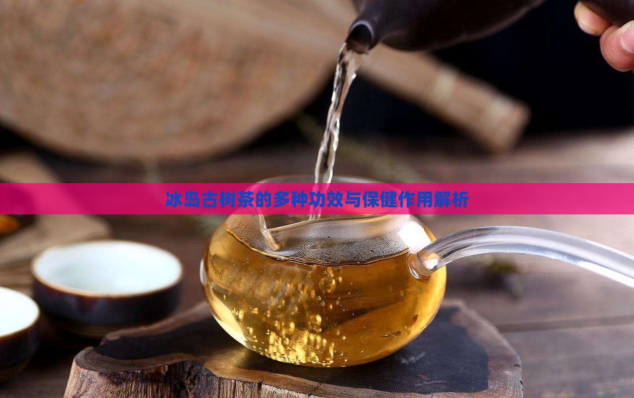 冰岛古树茶的多种功效与保健作用解析