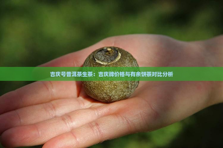 吉庆号普洱茶生茶：吉庆牌价格与有余饼茶对比分析