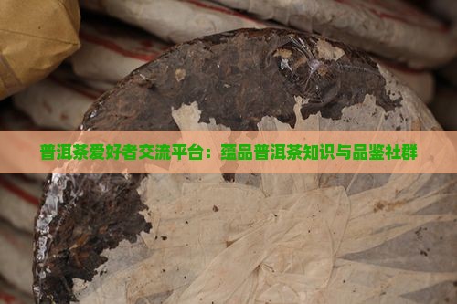 普洱茶爱好者交流平台：蕴品普洱茶知识与品鉴社群