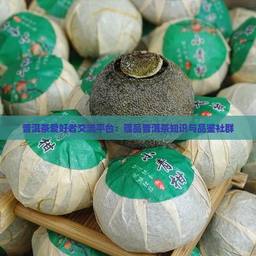 普洱茶爱好者交流平台：蕴品普洱茶知识与品鉴社群