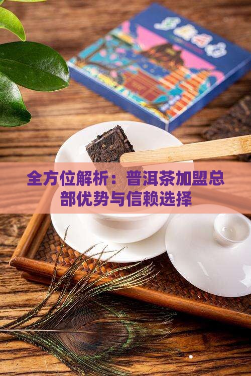 全方位解析：普洱茶加盟总部优势与信赖选择