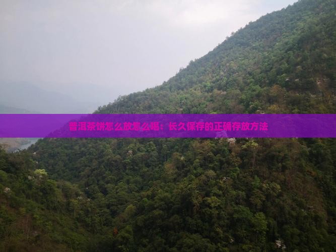 普洱茶饼怎么放怎么喝：长久保存的正确存放方法